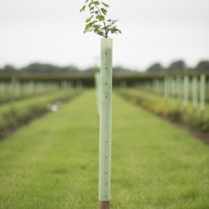 A young tree protected by a Tubex Tree Guard & Stake stands among similar saplings on a grassy field, with additional Tubex Tree Guards visible in the background.